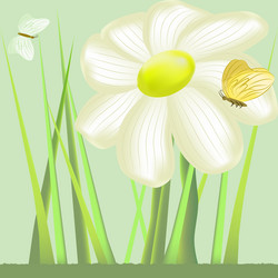 Similar image 2795336