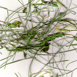 Similar image 2795344