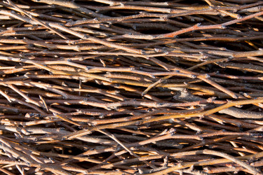 Similar image 2796504