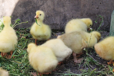 Similar image 2796507