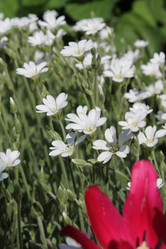 Similar image 2796508