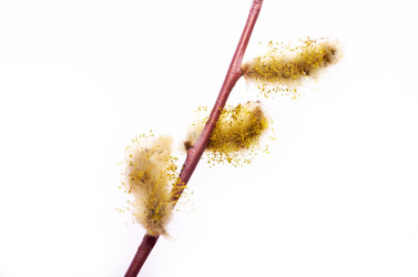 Similar image 2796518