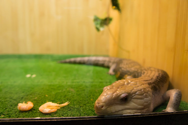 Similar image 2796573