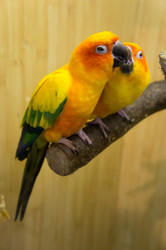 Similar image 2796574