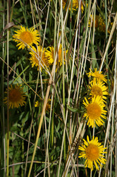 Similar image 2796575