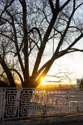 Similar image 2796576