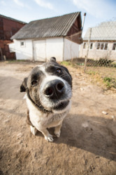 Similar image 2796616