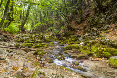 Similar image 2796623