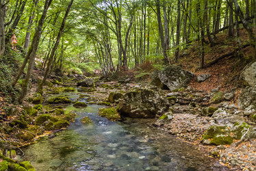 Similar image 2796624