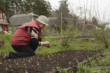 Similar image 2796635