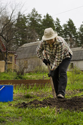 Similar image 2796638