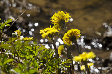 Similar image 2796641