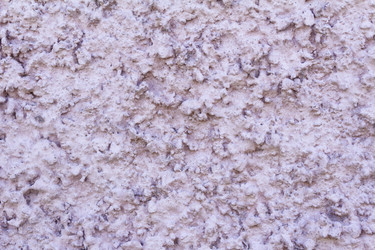 Similar image 2796662