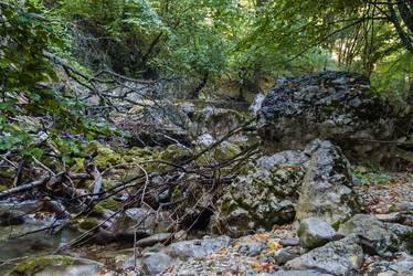 Similar image 2796684