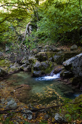 Similar image 2796686