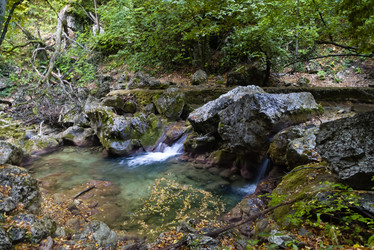 Similar image 2796687