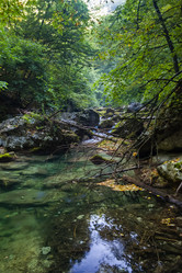 Similar image 2796688