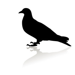 Similar image 2796742