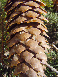 Similar image 2796778