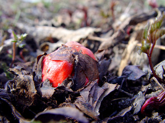 Similar image 2796780