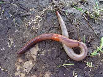 Similar image 2796781