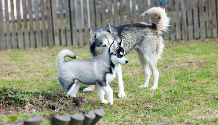 Similar image 2796783