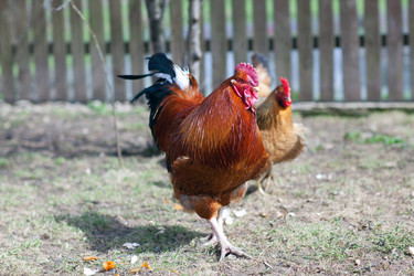 Similar image 2796785