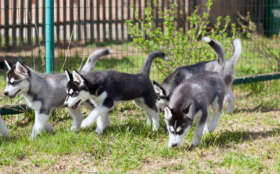 Similar image 2796791