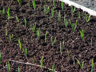 Similar image 2796792