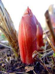 Similar image 2796793