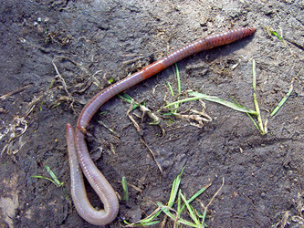 Similar image 2796794