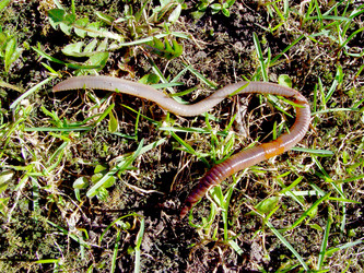 Similar image 2796795