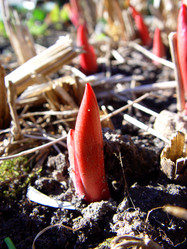 Similar image 2796798