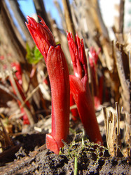 Similar image 2796799