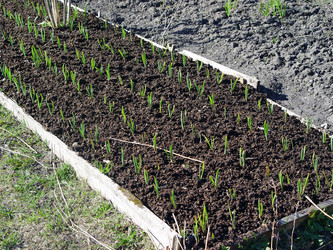 Similar image 2796801