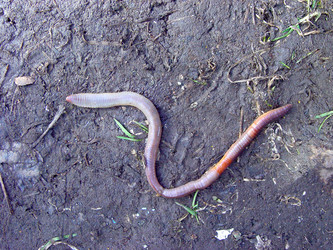 Similar image 2796802