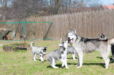 Similar image 2796803