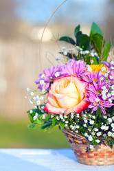 Similar image 2796806