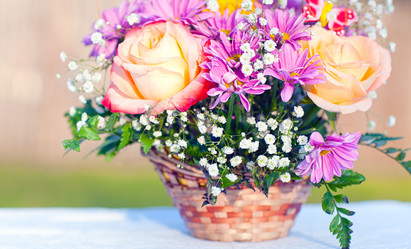 Similar image 2796807