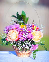 Similar image 2796808