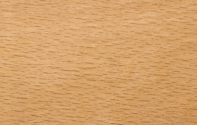 Similar image 2796811