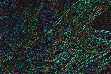 Similar image 2796819