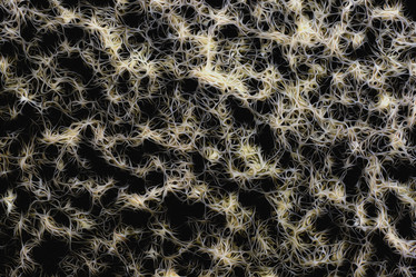 Similar image 2796859