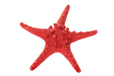 Similar image 2796905