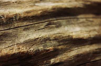 Similar image 2796924