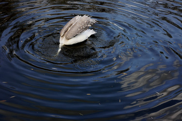 Similar image 2796927