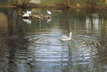 Similar image 2796928