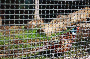 Similar image 2796947