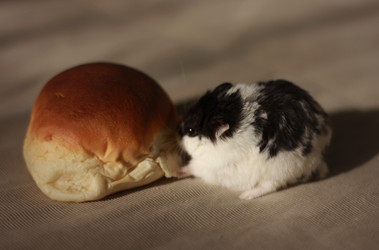 Similar image 2796954