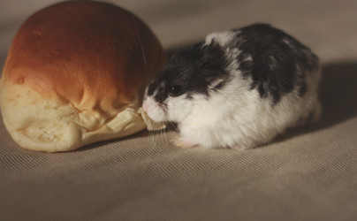 Similar image 2796962